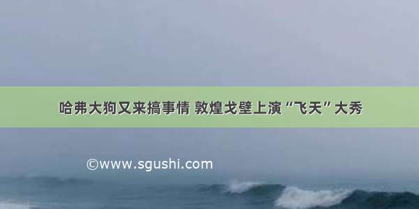 哈弗大狗又来搞事情 敦煌戈壁上演“飞天”大秀