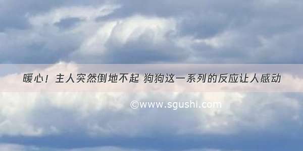 暖心！主人突然倒地不起 狗狗这一系列的反应让人感动