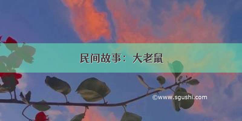 民间故事：大老鼠