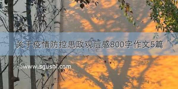 关于疫情防控思政观后感800字作文5篇