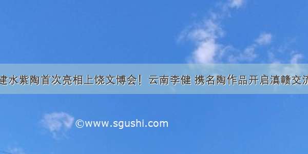 建水紫陶首次亮相上饶文博会！云南李健 携名陶作品开启滇赣交流