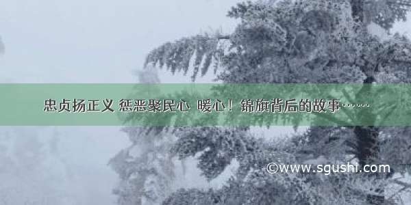 忠贞扬正义 惩恶聚民心｜暖心！锦旗背后的故事……