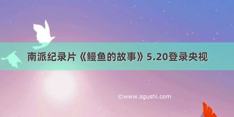 南派纪录片《鳗鱼的故事》5.20登录央视