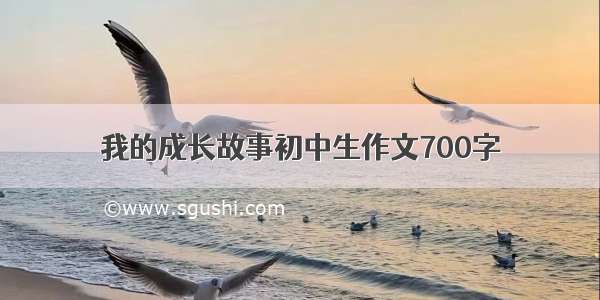 我的成长故事初中生作文700字