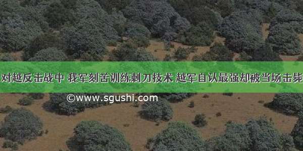 对越反击战中 我军刻苦训练刺刀技术 越军自认最强却被当场击毙