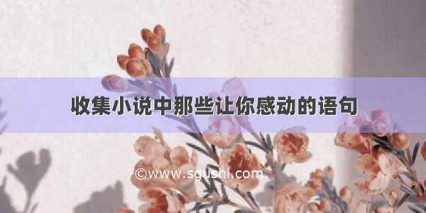 收集小说中那些让你感动的语句