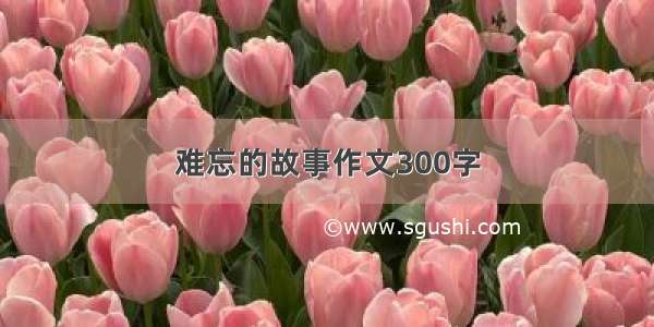 难忘的故事作文300字