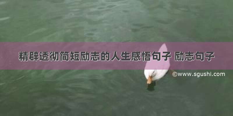 精辟透彻简短励志的人生感悟句子 励志句子