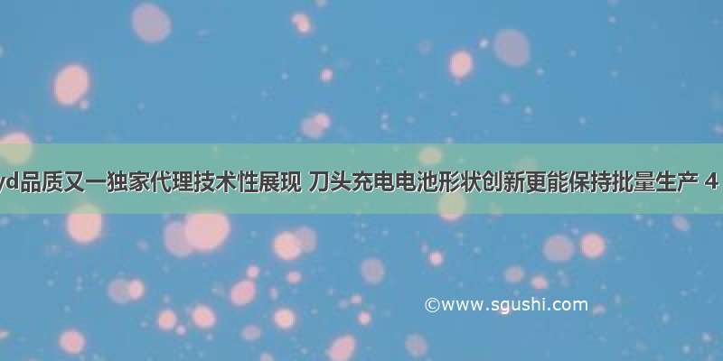 byd品质又一独家代理技术性展现 刀头充电电池形状创新更能保持批量生产 4