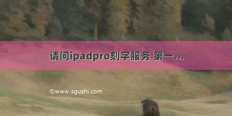 请问ipadpro刻字服务 第一…