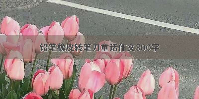 铅笔橡皮转笔刀童话作文300字