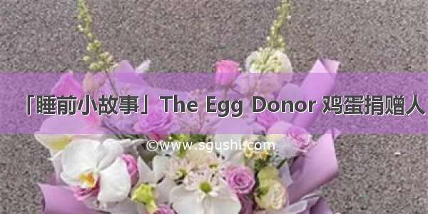 「睡前小故事」The Egg Donor 鸡蛋捐赠人