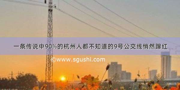 一条传说中90%的杭州人都不知道的9号公交线悄然蹿红