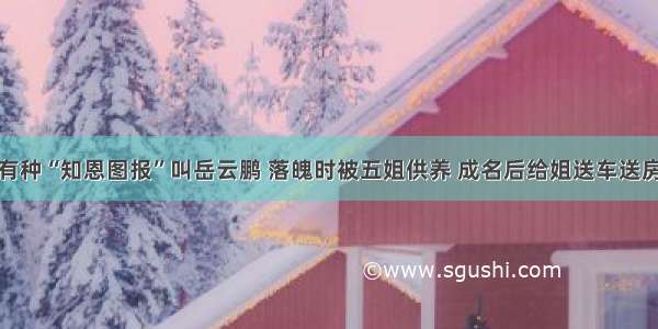 有种“知恩图报”叫岳云鹏 落魄时被五姐供养 成名后给姐送车送房