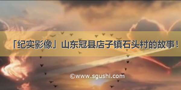 「纪实影像」山东冠县店子镇石头村的故事！