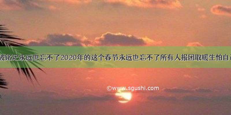 历史应该被铭记永远也忘不了2020年的这个春节永远也忘不了所有人报团取暖生怕自己过不