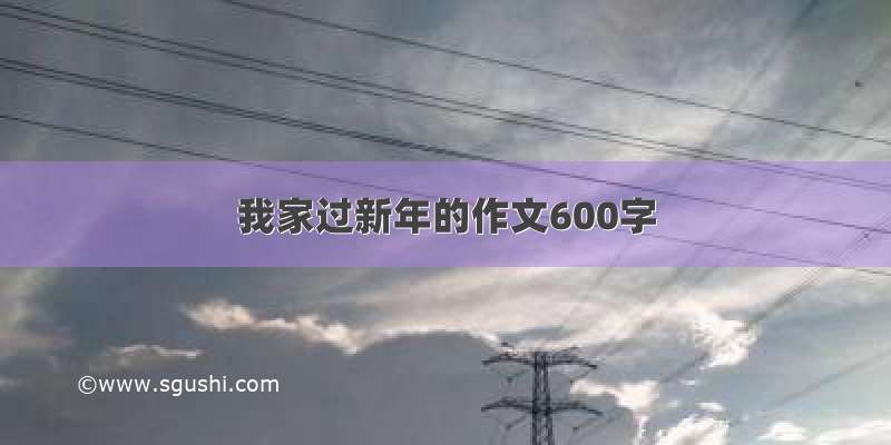 我家过新年的作文600字