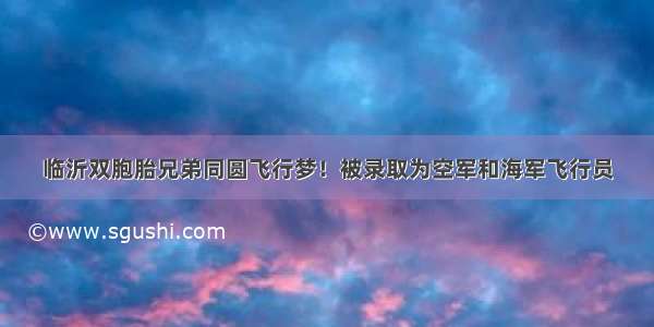 临沂双胞胎兄弟同圆飞行梦！被录取为空军和海军飞行员