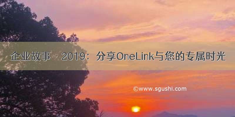 企业故事·2019：分享OneLink与您的专属时光