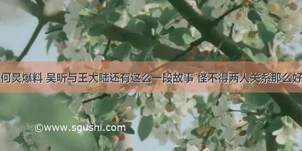 何炅爆料 吴昕与王大陆还有这么一段故事 怪不得两人关系那么好