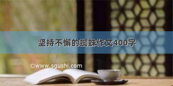 坚持不懈的蜘蛛作文400字