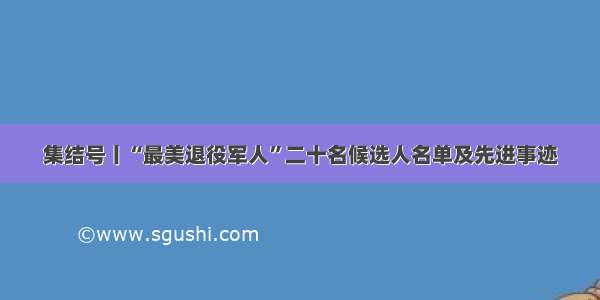 集结号丨“最美退役军人”二十名候选人名单及先进事迹