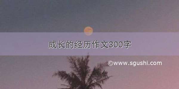 成长的经历作文300字