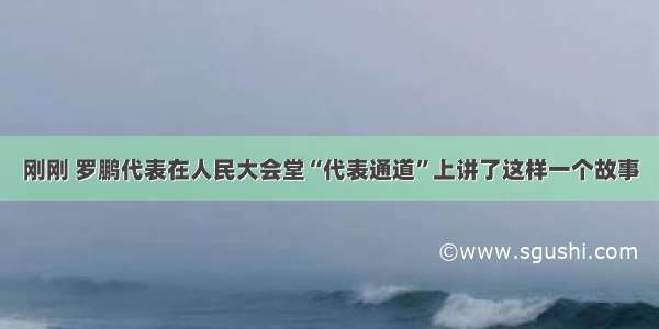 刚刚 罗鹏代表在人民大会堂“代表通道”上讲了这样一个故事