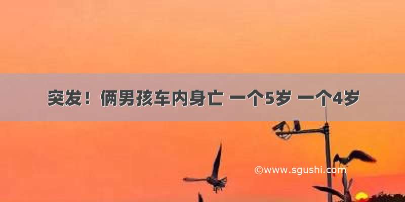 突发！俩男孩车内身亡 一个5岁 一个4岁