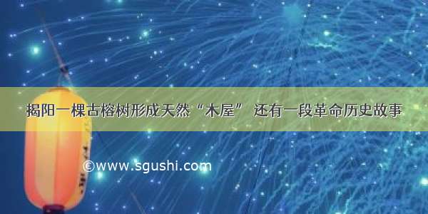 揭阳一棵古榕树形成天然“木屋” 还有一段革命历史故事