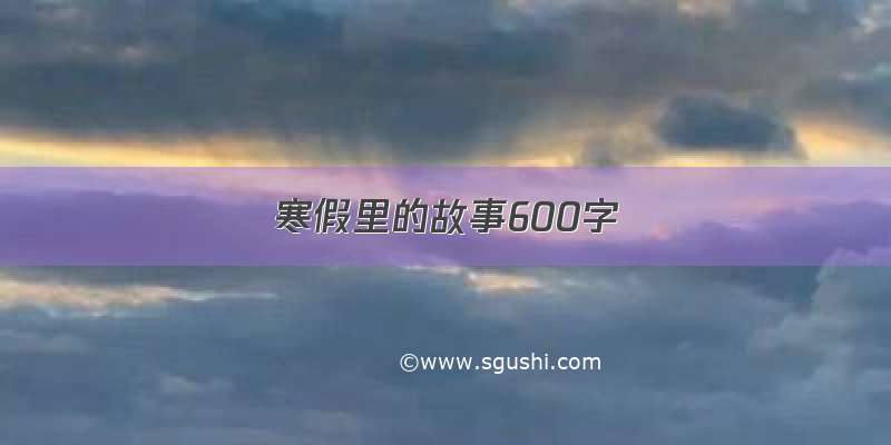 寒假里的故事600字