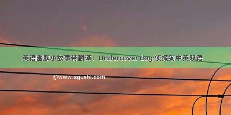 英语幽默小故事带翻译：Undercover dog 侦探狗中英双语