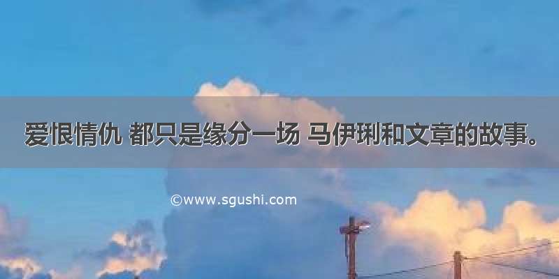 爱恨情仇 都只是缘分一场 马伊琍和文章的故事。