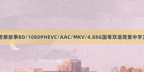 云新警察故事BD/1080PHEVC/AAC/MKV/4.88G国粤双语简繁中字无水印