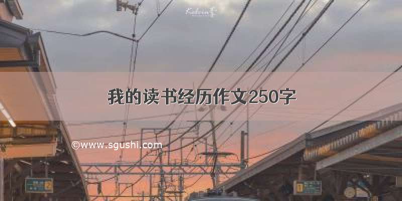 我的读书经历作文250字