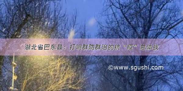 湖北省巴东县：打响群防群治的抗“疫”总体战