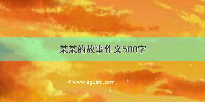 某某的故事作文500字