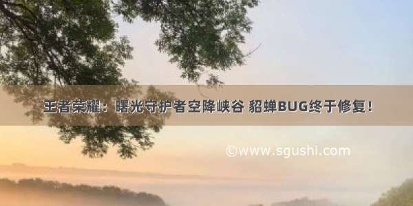 王者荣耀：曙光守护者空降峡谷 貂蝉BUG终于修复！