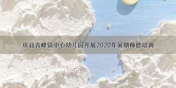 房县青峰镇中心幼儿园开展2020年暑期师德培训