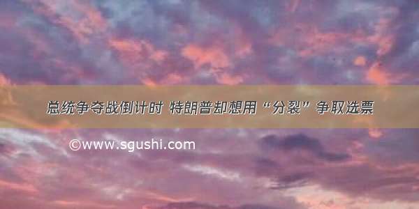 总统争夺战倒计时 特朗普却想用“分裂”争取选票