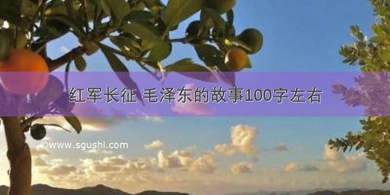 红军长征 毛泽东的故事100字左右