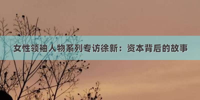 女性领袖人物系列专访徐新：资本背后的故事