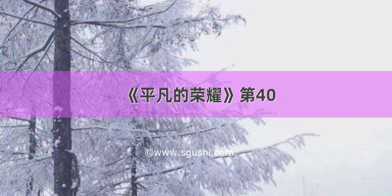 《平凡的荣耀》第40