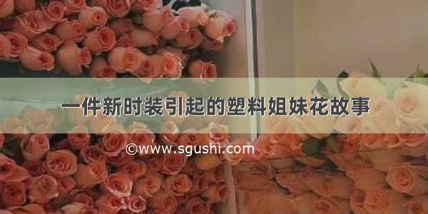 一件新时装引起的塑料姐妹花故事