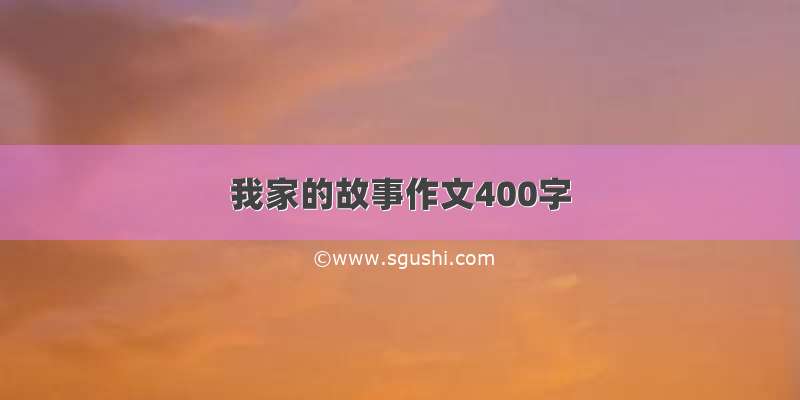 我家的故事作文400字