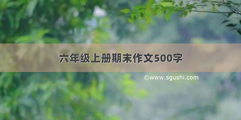 六年级上册期末作文500字