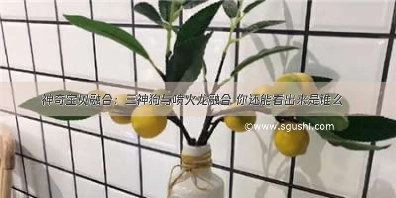 神奇宝贝融合：三神狗与喷火龙融合 你还能看出来是谁么