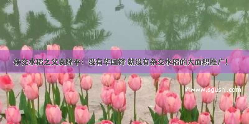 杂交水稻之父袁隆平：没有华国锋 就没有杂交水稻的大面积推广！