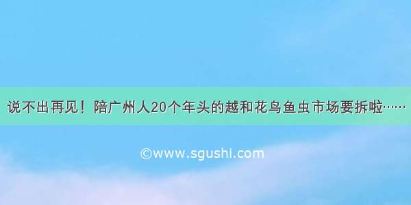 说不出再见！陪广州人20个年头的越和花鸟鱼虫市场要拆啦……