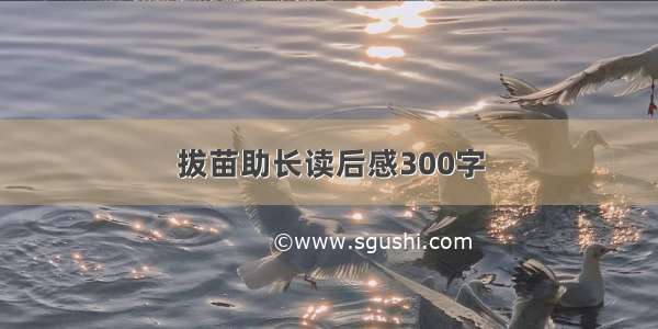 拔苗助长读后感300字